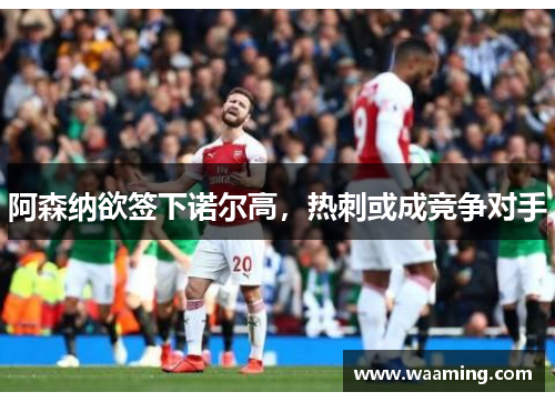 阿森纳欲签下诺尔高，热刺或成竞争对手